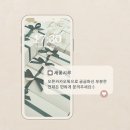 새꽃시루 이미지