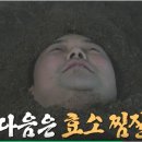 편백효소테라피