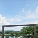 찐핫도그 | 두물머리 주차 꿀팁! 명물 연핫도그 & 연잎 아이스크림 내돈내산 찐 후기