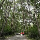 쌍계사 관광안내소 이미지