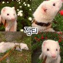 잠티 이미지