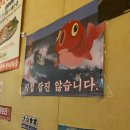 물보라마켓 이미지