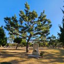 지금은 동(東)의  이미지