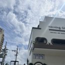 카페소얼 | [필리핀/세부여행] 막탄 최고 맛집 추천 "모닝글로리" 모닝플래터, 치즈가리비 내돈내산 (예약, 가격...