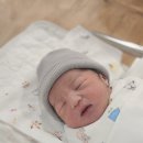 프라임여성의원건물 | 남양주 삼성프라임산부인과 제왕절개 후기와 비용(입원부터 퇴원까지 보호자 역할)