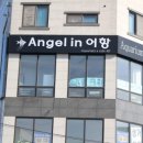 엔젤인어항 이미지