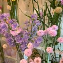 제일약국 | 노원역 꽃집 '혜령플라워' | 고급스러운 기념일 꽃다발, 축하 화분 당일배달