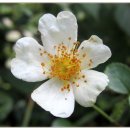 반여3동-16 이미지