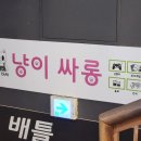 냥이 싸롱 이미지