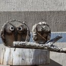 비둘기공원 화장실 이미지