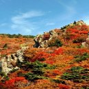 한라관광 이미지