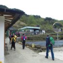 진자농장 이미지