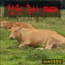 대산리축사 이미지