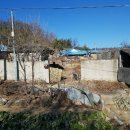 선산중앙로-13 이미지