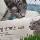 쟁반통닭앤아주포차 이미지