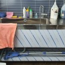 샵댕댕댕 이미지