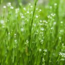 그해 여름 이미지