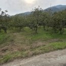 낙동면 비룡리 이미지