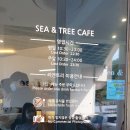 씨앤트리 이미지
