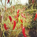 소리코티지 이미지