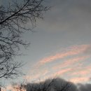 김기수 농장 이미지