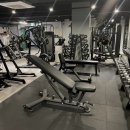 마이트피트니스 이미지