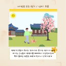 운문산 둘레길 | 경북 청도 애견동반 여행 4월 벚꽃 명소 운문사 주차장 둘레길