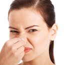 마을 유도관 이미지