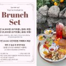 오소록 하우스 | 제주 서귀포 조용한 여성전용 게스트하우스 정원책방