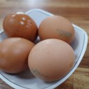 양동순두부(덕하) 이미지