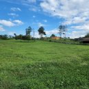 소들의 천국 이미지