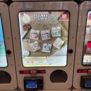 블링팝2 | 여행 | 서울 홍대 | 가챠엑스 홍대입구점, 원피규어, 팝마트 홍대 플래그십 스토어, 뉴뉴하우스 홍대점