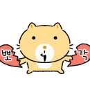 피쉬랜드 네이버블로그