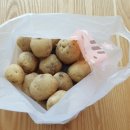 민준농장2 이미지