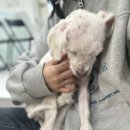 주주동물병원 이미지