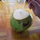 거칠어진 건성피부 뭐가 좋을까? 코코넛오일 효능 코코넛워터 효능 ( 열대과일 종류 ) 이미지