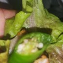 양지장 | 경상남도 마산회원구 대구88막창 팔용점, 후기, 위치, 가격