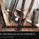 길 고양이 중성화 사업에 들어가는 피 같은 세금 ㄷㄷㄷ. gif 이미지