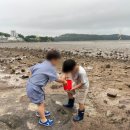 비토애풀빌라펜션 이미지