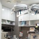 아람 동물병원 이미지