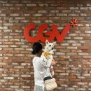 멍콕 시네멍 주안CGV 강아지와 함께 토이스토리5 내돈내산 관람후기