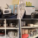 까멜리아 이미지