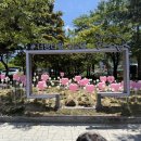 수승대야영장 | 경남 거창 수승대 물놀이 대구 근교 계곡 야영장 데크
