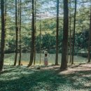 하이원 생활환경