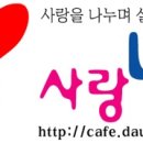 양기운 Daum카페