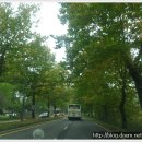 이민핵 충신각 이미지