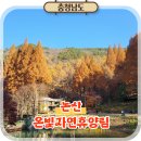 차 향기 속 세계사 기행 | 논산 온빛자연휴양림 가을 여행, 충남 가볼만한곳 추천!