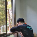 림의 집 | 고양이 있는 집 해충방역유입차단 자바드림 이용 후기