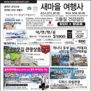 새마을여행사 이미지