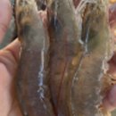 하늘바다 이미지